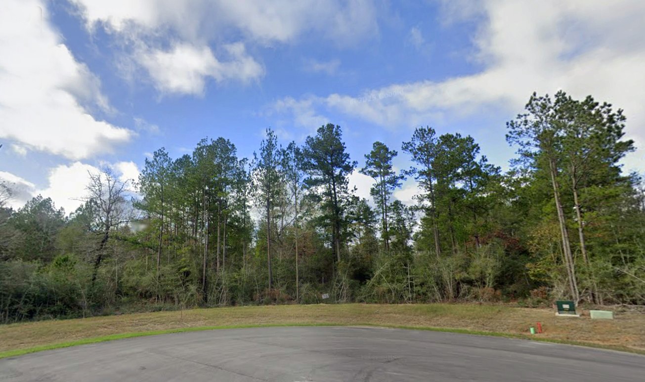 10550 Link Tree Lane Willis, TX 77378 - Photo 8 of 18