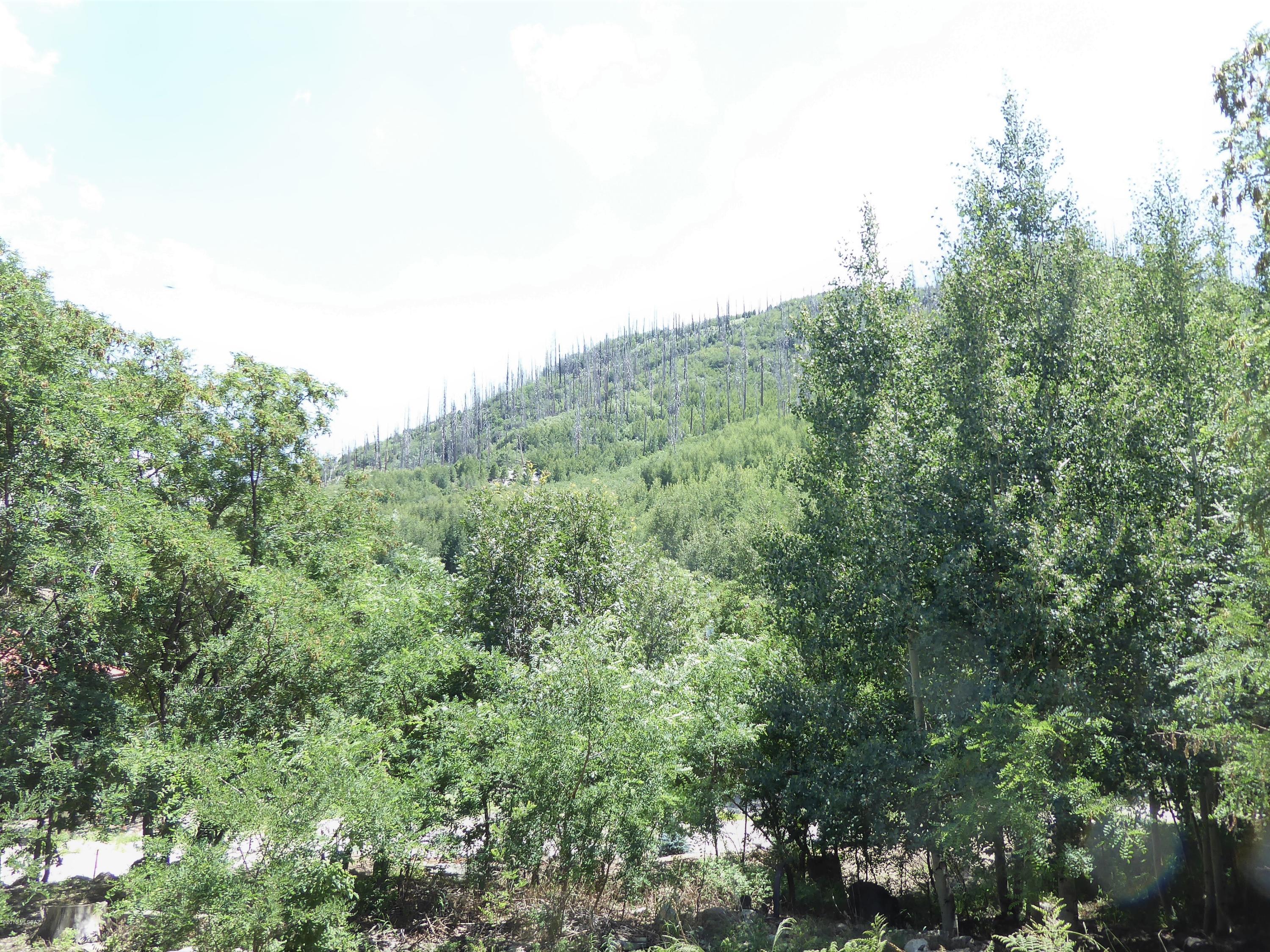 12710 North Miners Ridge Road, Unit 12 Mount Lemmon, AZ 85619 - Photo 1 of 4