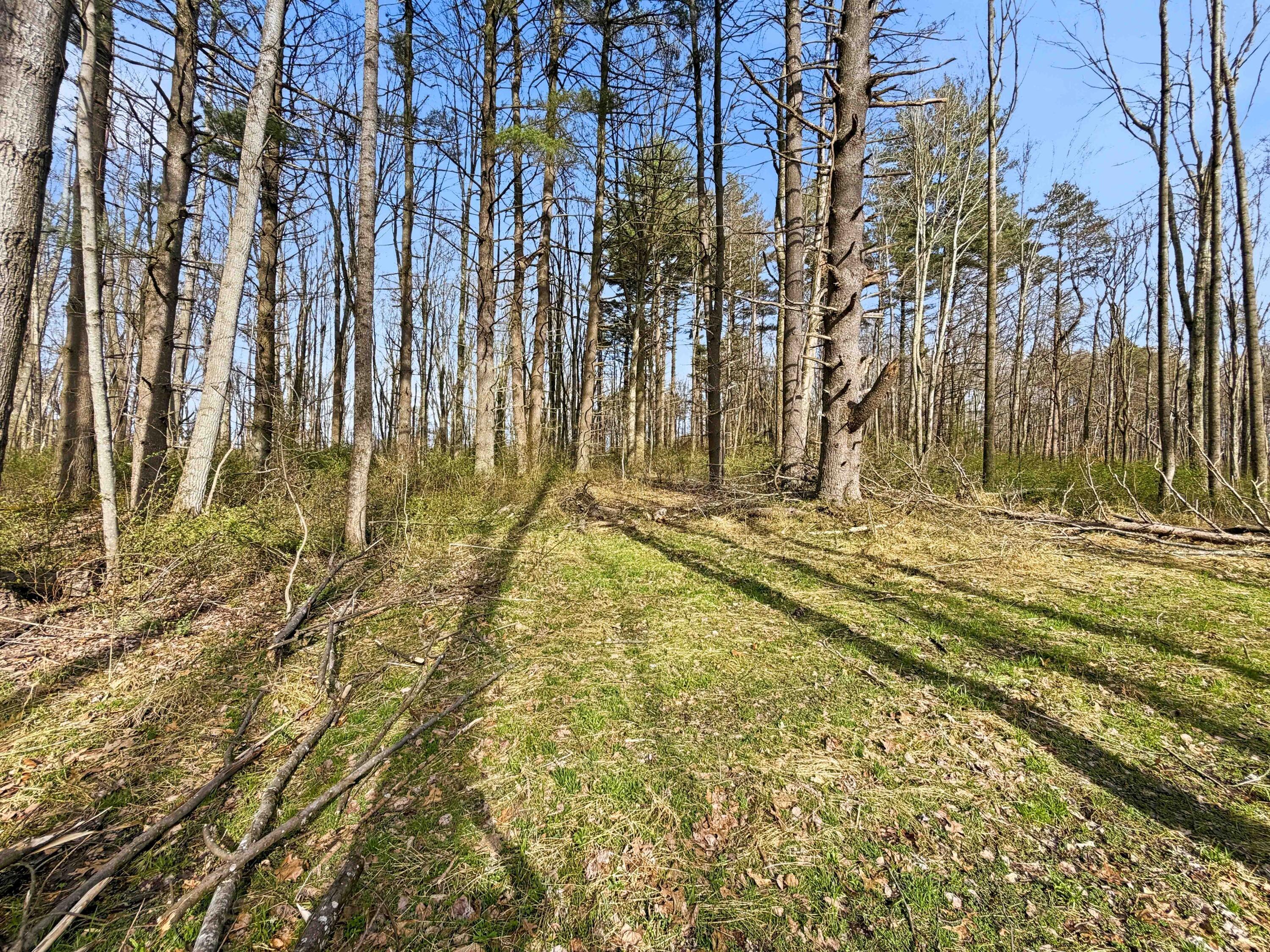 22470 Griffith Road Logan, OH 43138 - Photo 9 of 29 Griffith Rd-9