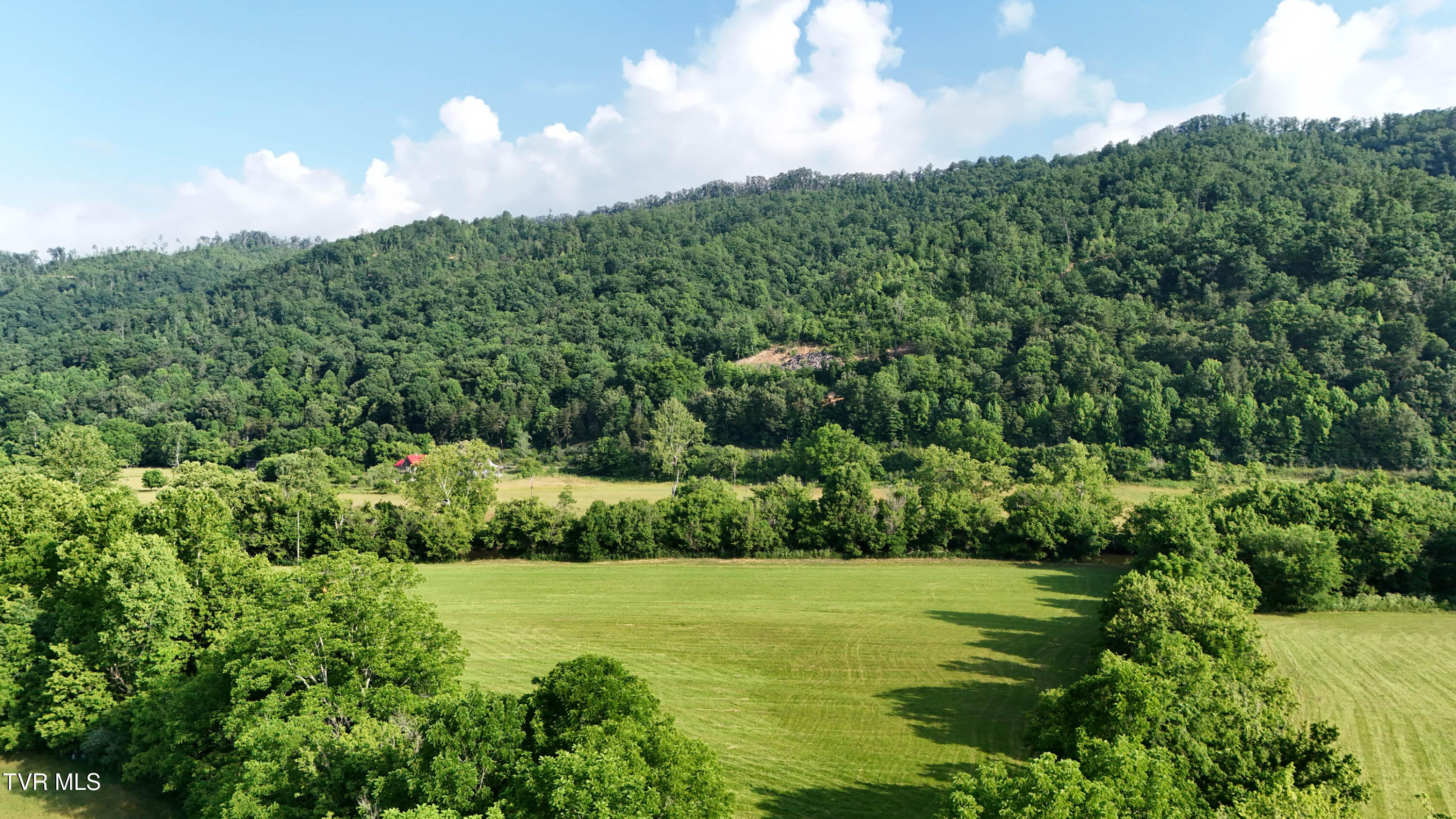 Tbd Canebrake Road Abingdon, VA 24210 - Photo 67 of 67 68-print-Canebrake Rd Drone DOM