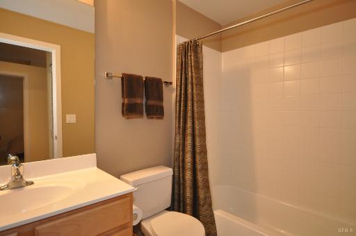 1305 South Michigan Avenue, Unit 1702 Chicago, IL 60605 - Photo 10 of 13 a bathroom with a sink toilet and shower