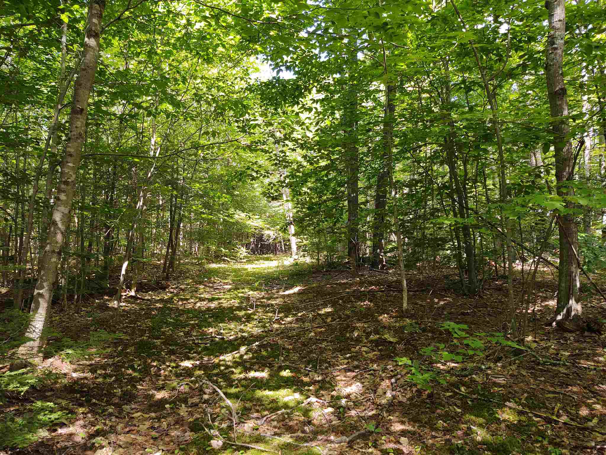 289 Governors Road Brookfield, NH 03872 - Photo 30 of 40 Gallery Image 30