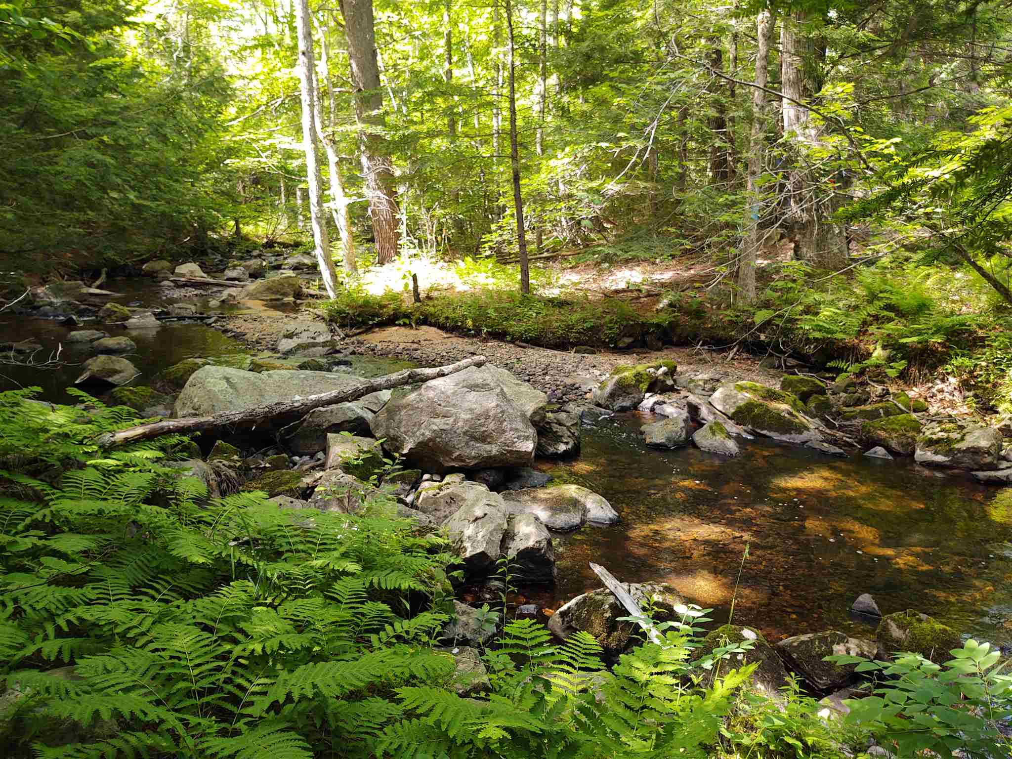 289 Governors Road Brookfield, NH 03872 - Photo 33 of 40 Gallery Image 33