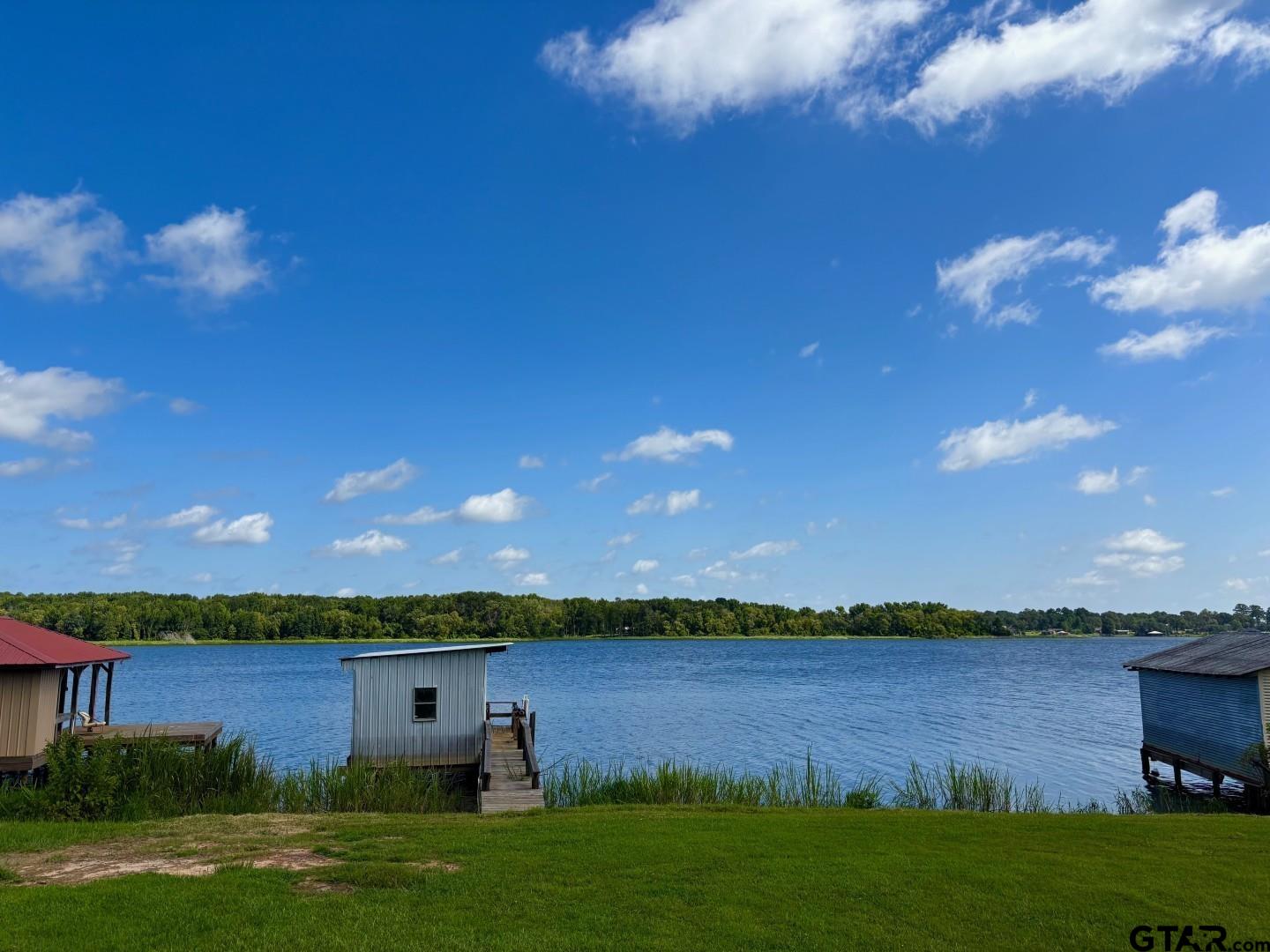 21893 Boles Road Frankston, TX 75763 - Photo 23 of 33 a view of a lake from a yard