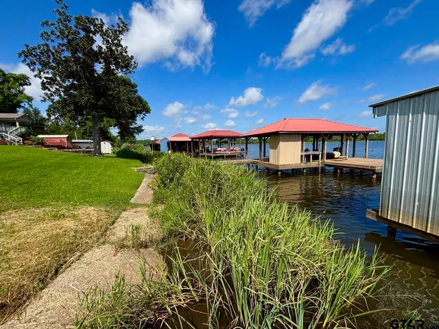 a view of a garden with large trees