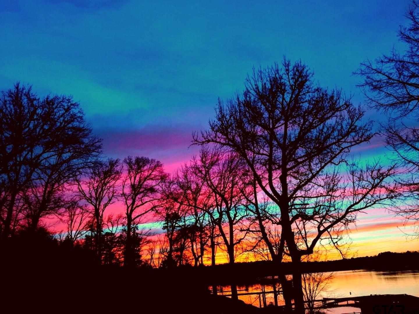 21893 Boles Road Frankston, TX 75763 - Photo 3 of 33 a view of a tree in a yard