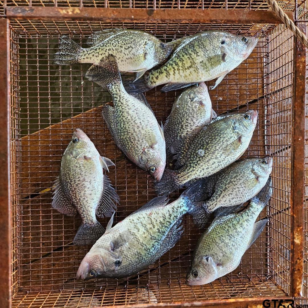 21893 Boles Road Frankston, TX 75763 - Photo 32 of 33 a close view of of furniture