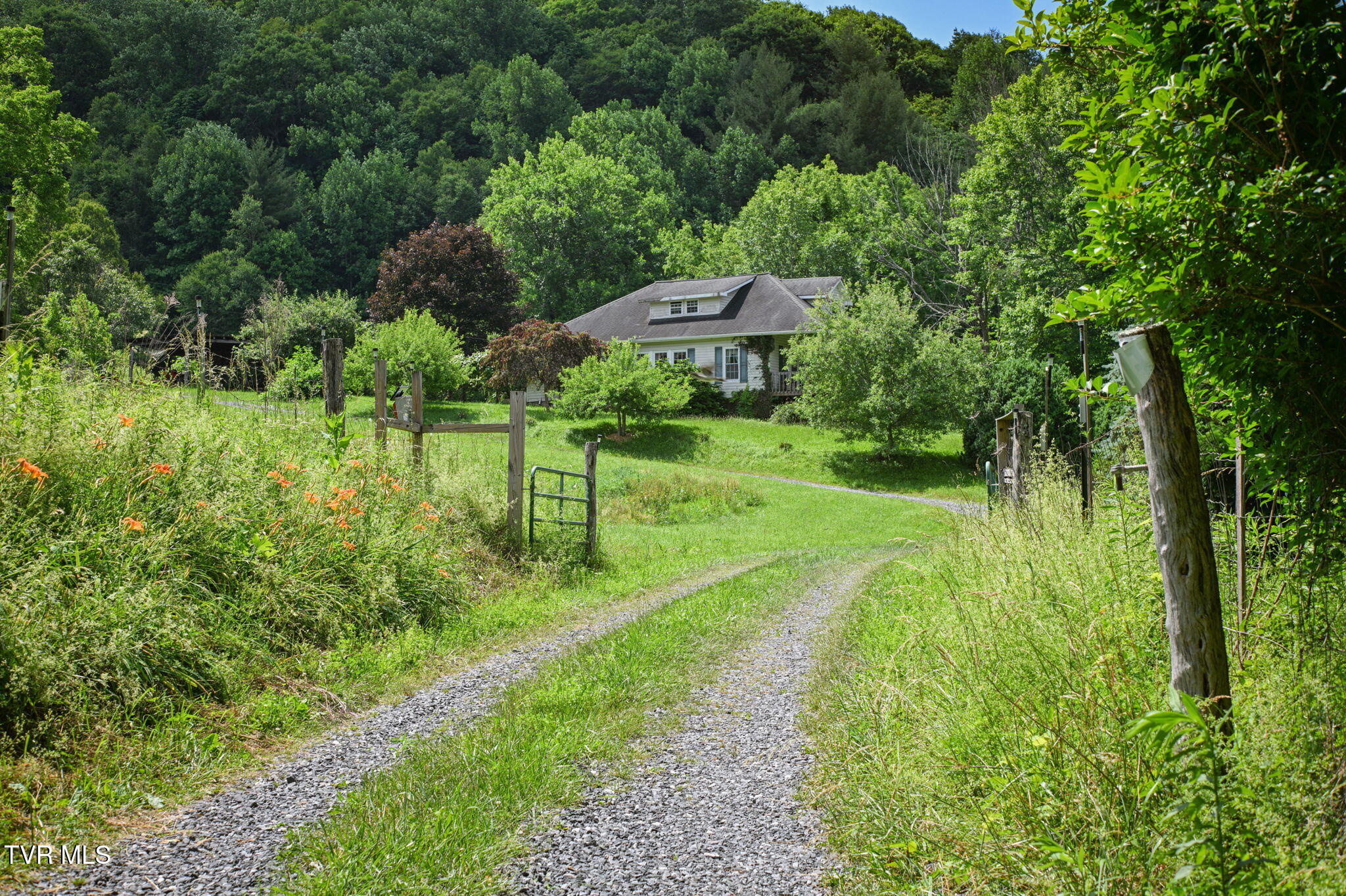 120 Teaberry Road Roan Mountain, TN 37687 - Photo 1 of 56 52-web-or-mls-EXT_4044