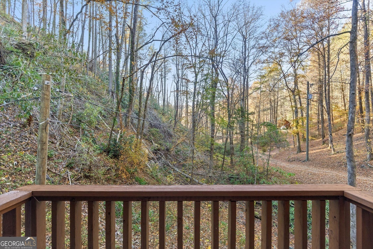 180 Cohutta Forest Road Ellijay, GA 30540 - Photo 25 of 51