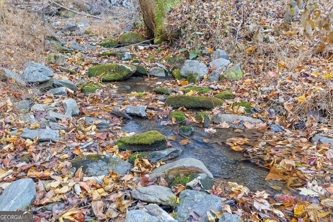 180 Cohutta Forest Road Ellijay, GA 30540 - Photo 3 of 51