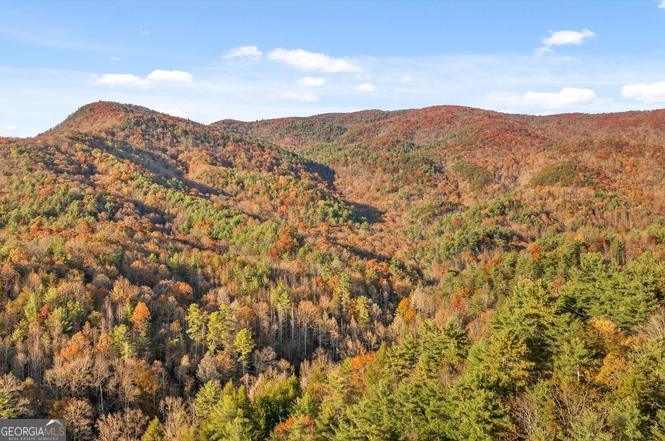 180 Cohutta Forest Road Ellijay, GA 30540 - Photo 41 of 51