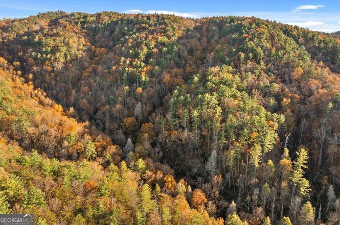 180 Cohutta Forest Road Ellijay, GA 30540 - Photo 42 of 51