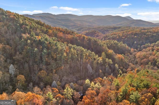 180 Cohutta Forest Road Ellijay, GA 30540 - Photo 44 of 51