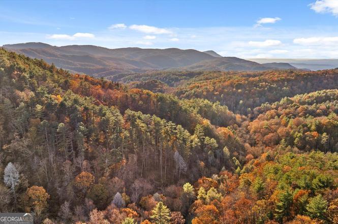 180 Cohutta Forest Road Ellijay, GA 30540 - Photo 45 of 51