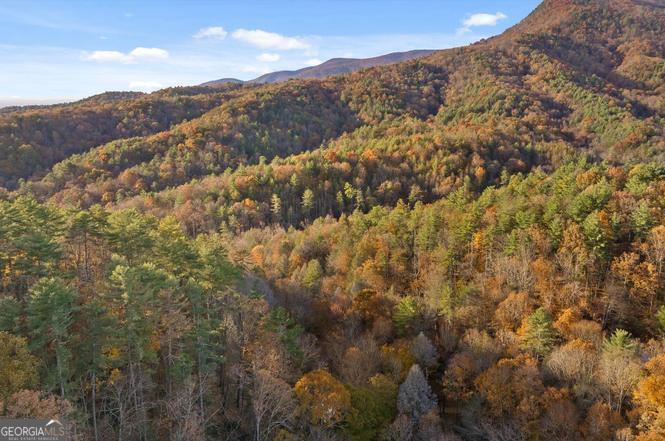 180 Cohutta Forest Road Ellijay, GA 30540 - Photo 47 of 51