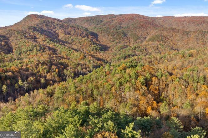 180 Cohutta Forest Road Ellijay, GA 30540 - Photo 48 of 51