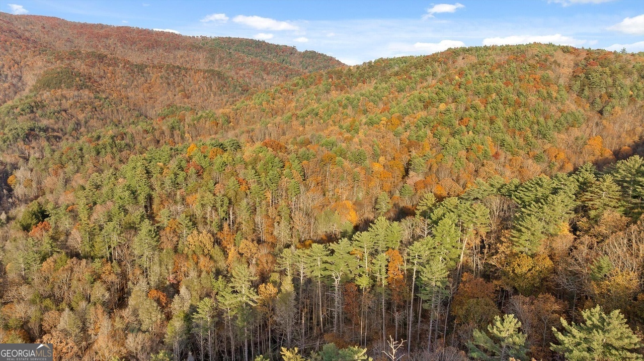 180 Cohutta Forest Road Ellijay, GA 30540 - Photo 49 of 51