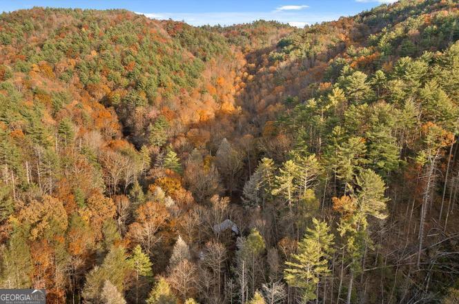 180 Cohutta Forest Road Ellijay, GA 30540 - Photo 50 of 51