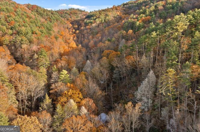 180 Cohutta Forest Road Ellijay, GA 30540 - Photo 51 of 51