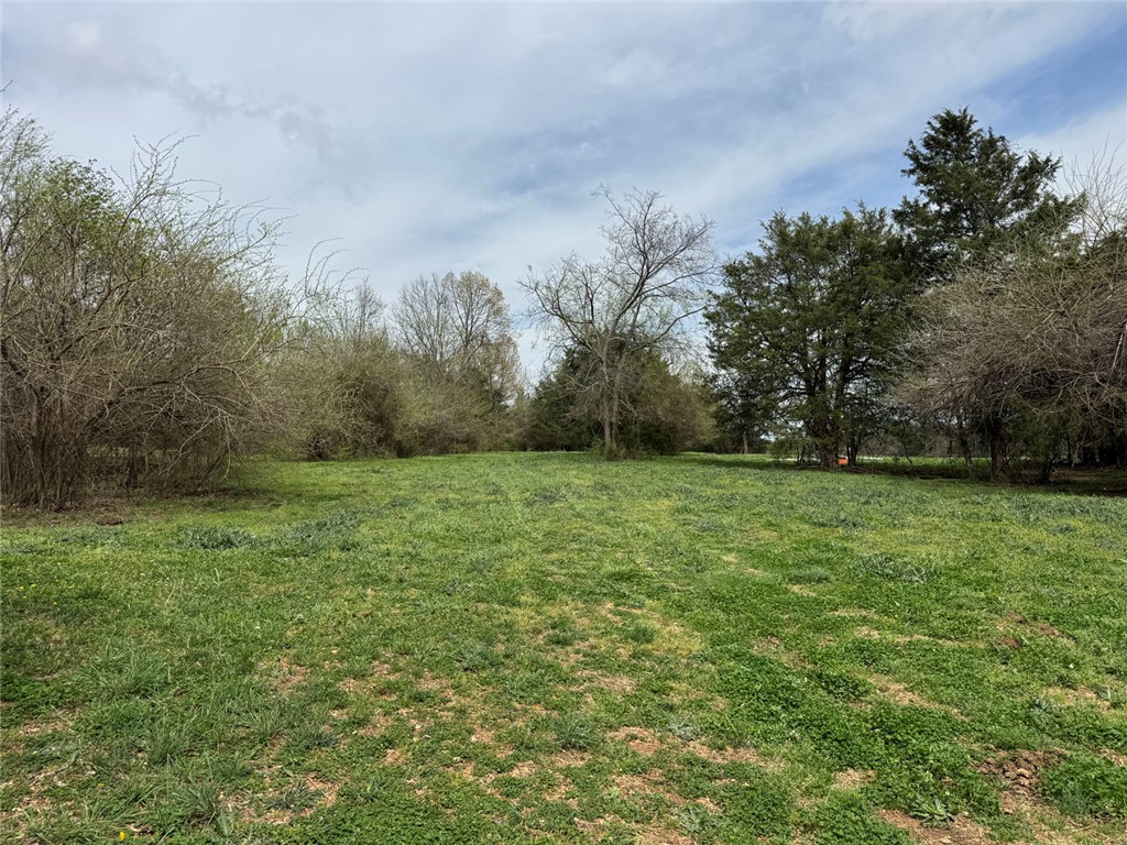 10191 Rally Hill Road Everton, AR 72633 - Photo 36 of 59 View of green lawn