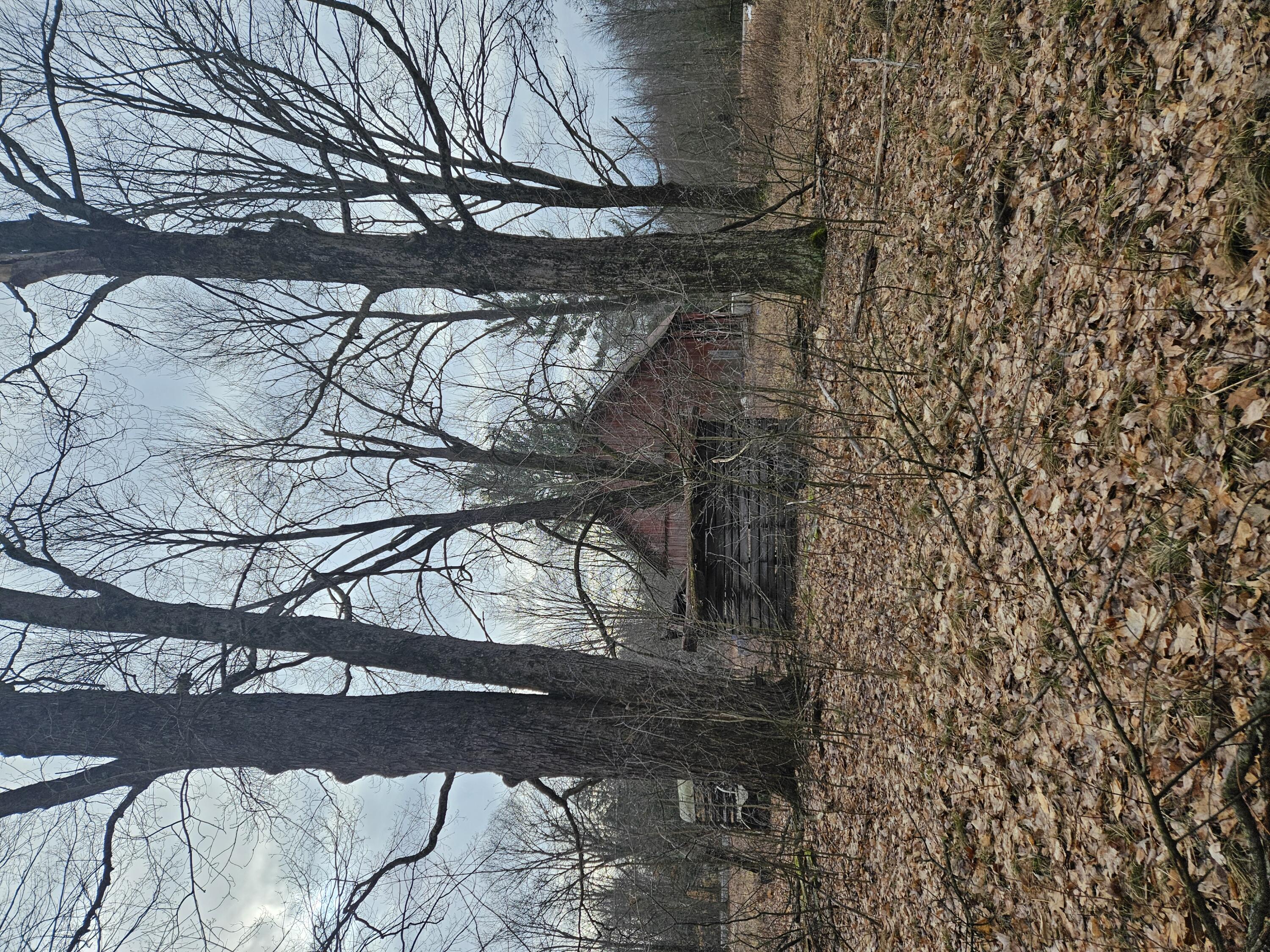 5758 East Loop Road Hesperia, MI 49421 - Photo 4 of 18 Barn