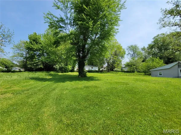 $10,000 | 1013 Texas Street, Louisiana, MO 63353