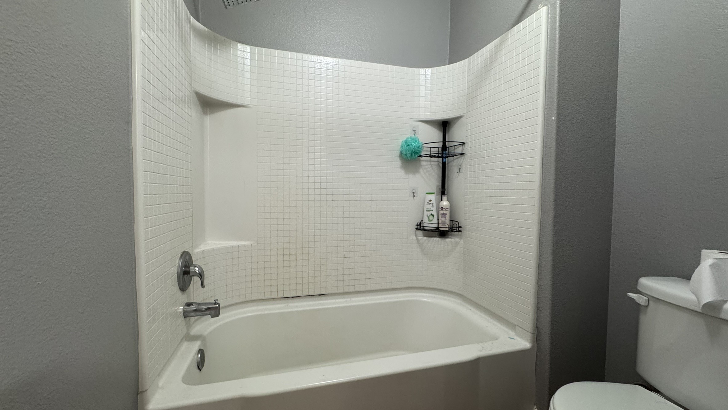 9427 Ruby Mist Drive Rosharon, TX 77583 - Photo 24 of 29