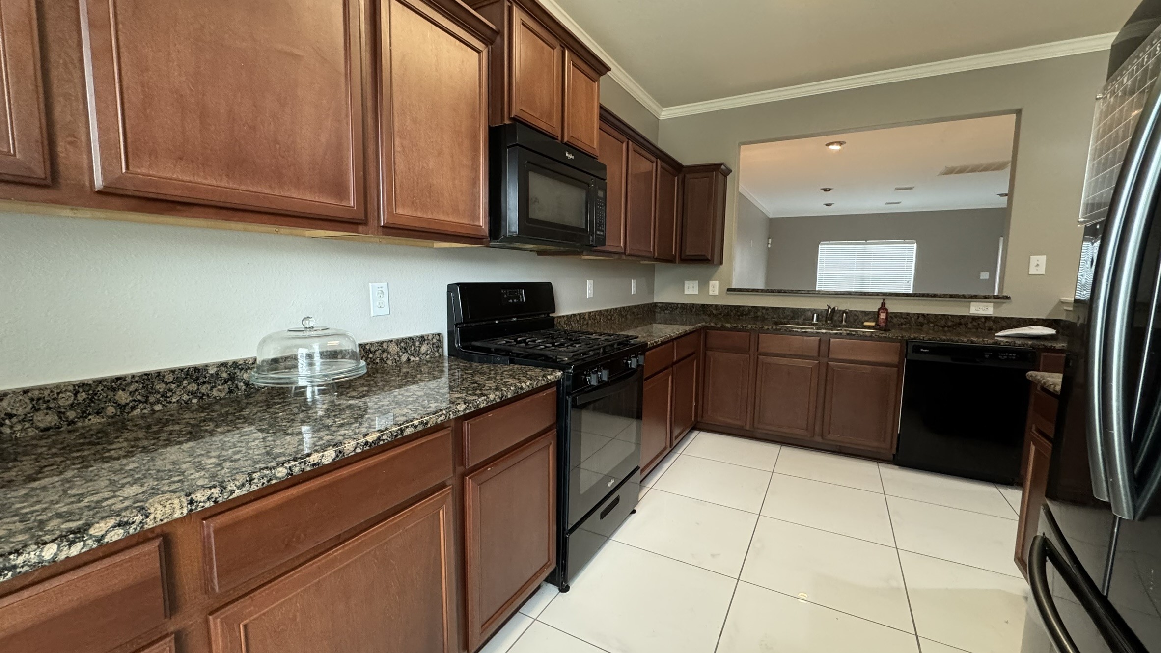 9427 Ruby Mist Drive Rosharon, TX 77583 - Photo 8 of 29