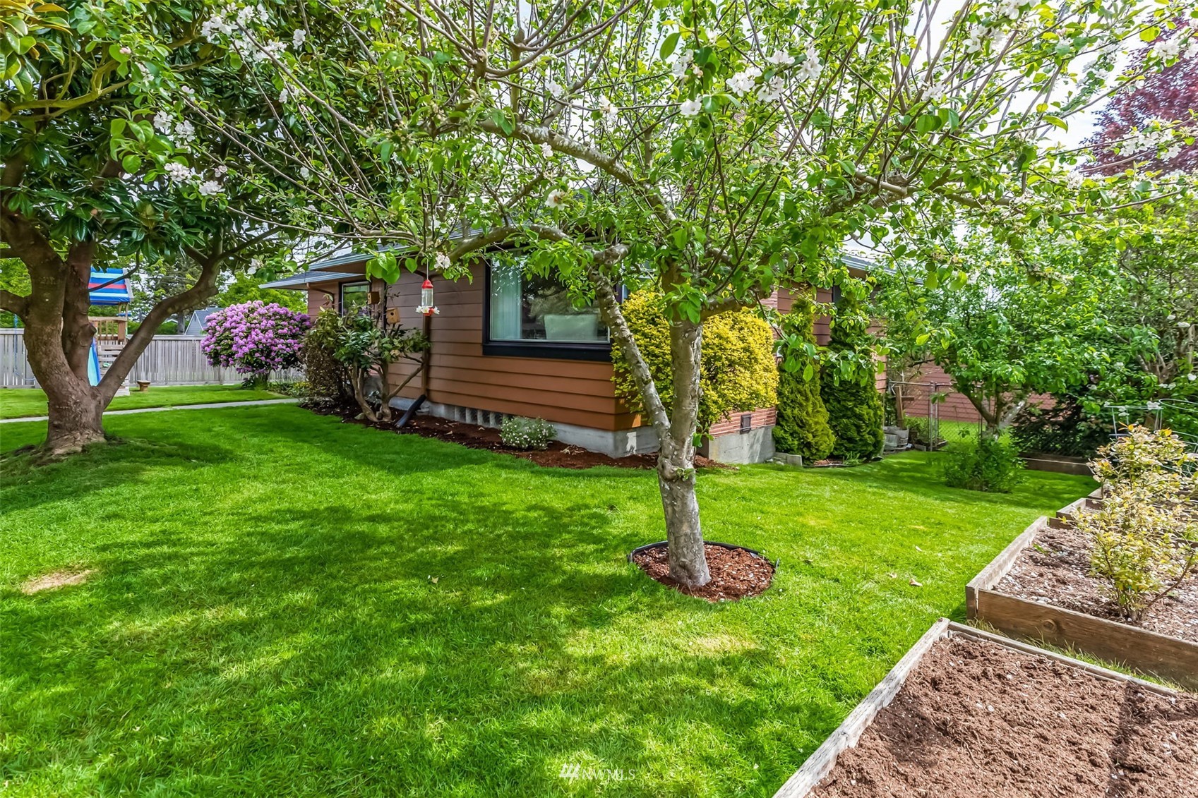8402 13th Avenue Southwest Seattle, WA 98106 - Photo 37 of 40 a view of a backyard with large trees