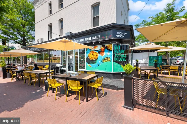 a view of a backyard with a garden and plants