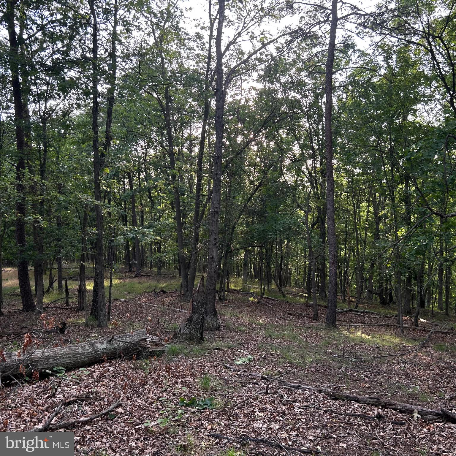0 Headsville Road Keyser, WV 26726 - Photo 35 of 46
