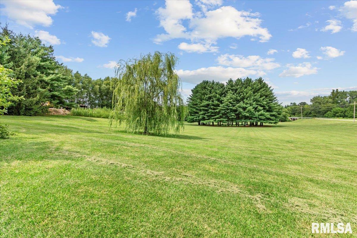 8035 Farmington Cemetery Road Pleasant Plains, IL 62677 - Photo 48 of 61 Gallery Image 48