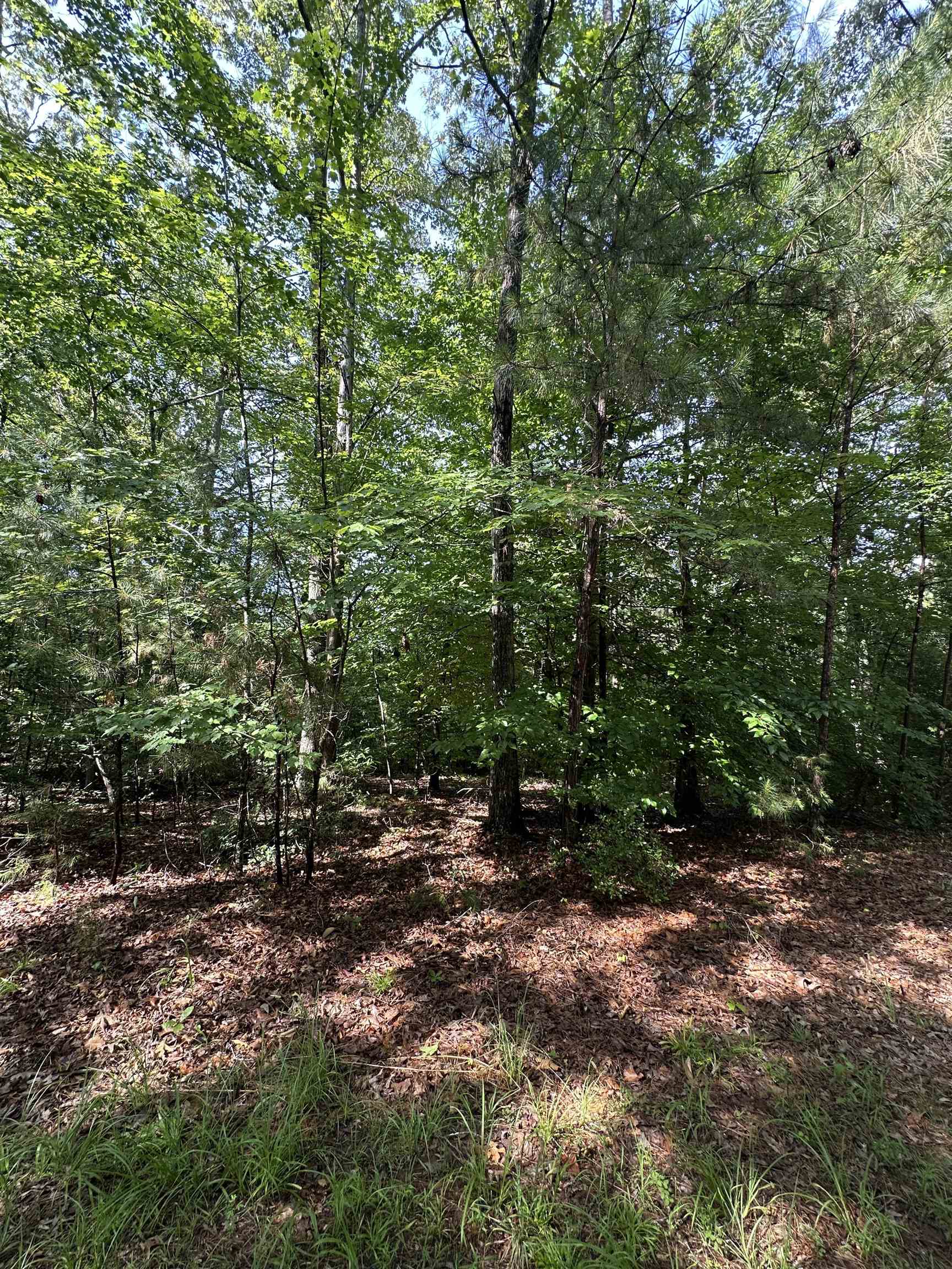 Old Buncombe Road Union, SC 29379 - Photo 1 of 4