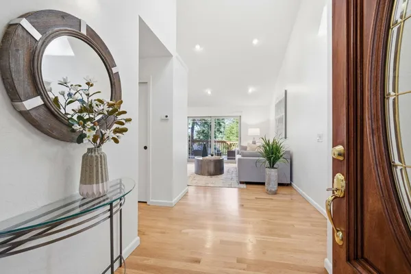 wooden floor with a potted plant on a counter