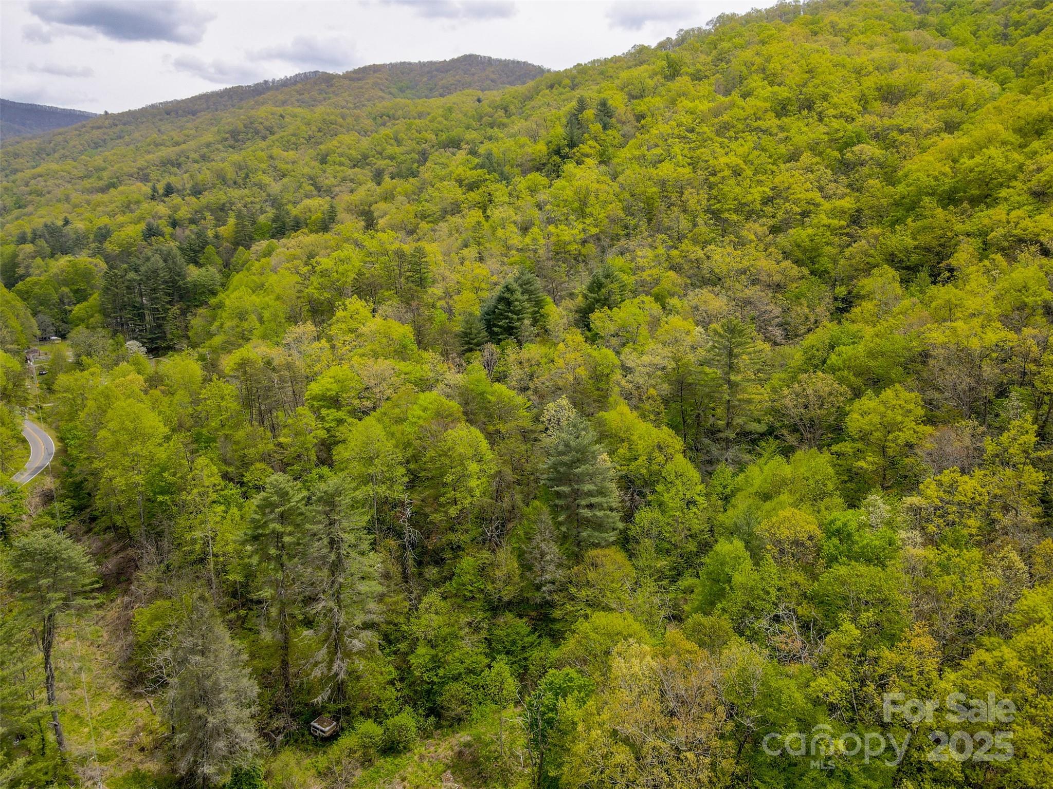 2360 Wayehutta Road Cullowhee, NC 28723 - Photo 11 of 16 a view of a big yard with green space and mountain view