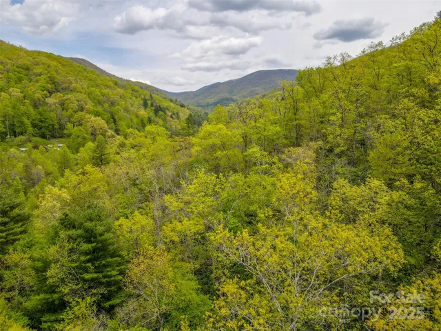 a view of a field with an ocean