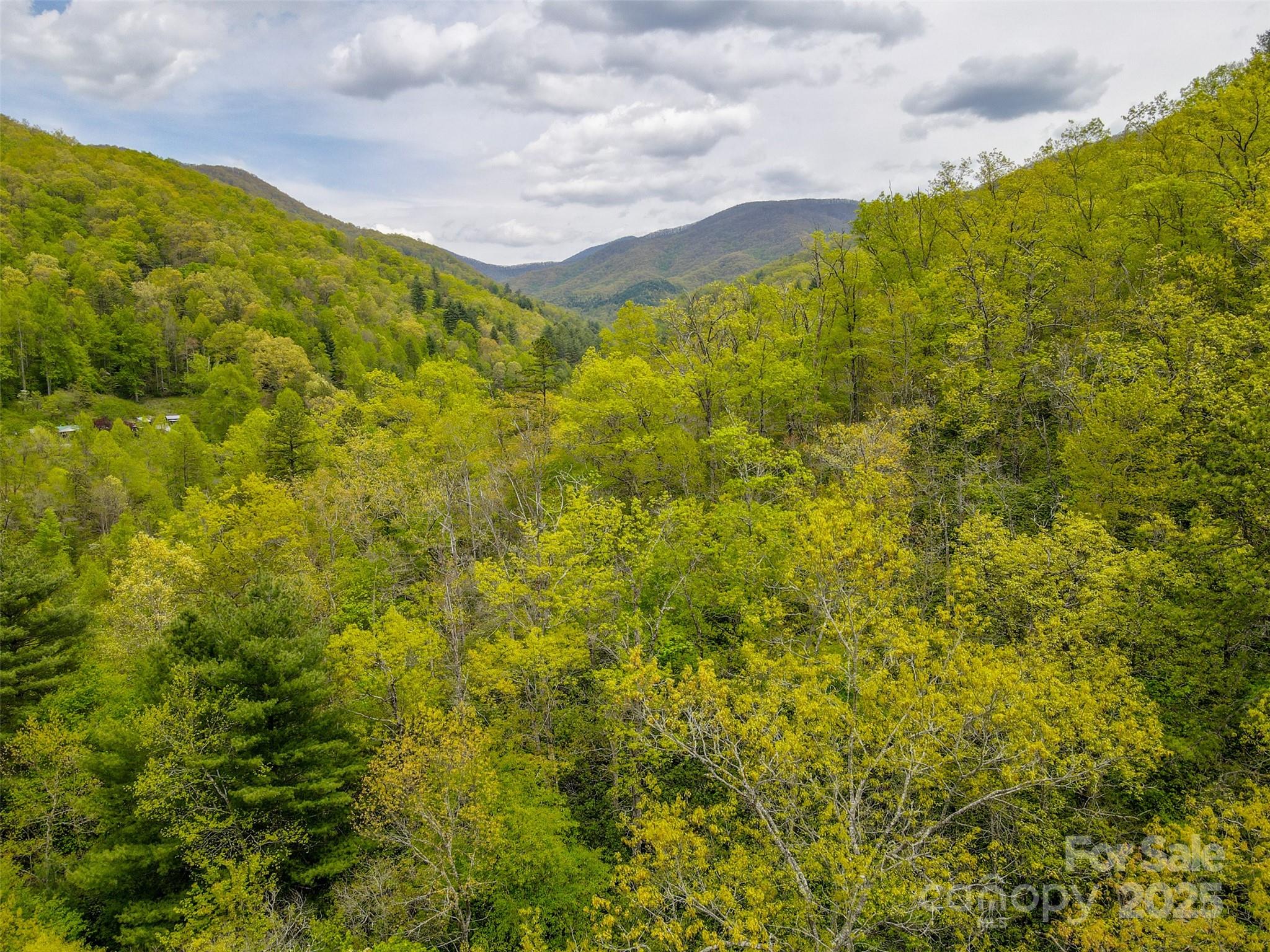 2360 Wayehutta Road Cullowhee, NC 28723 - Photo 12 of 16 a view of a field with an ocean