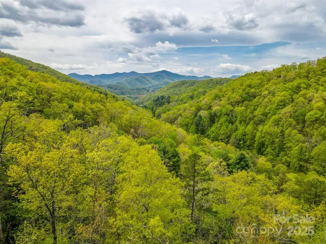 a view of a bunch of trees and houses
