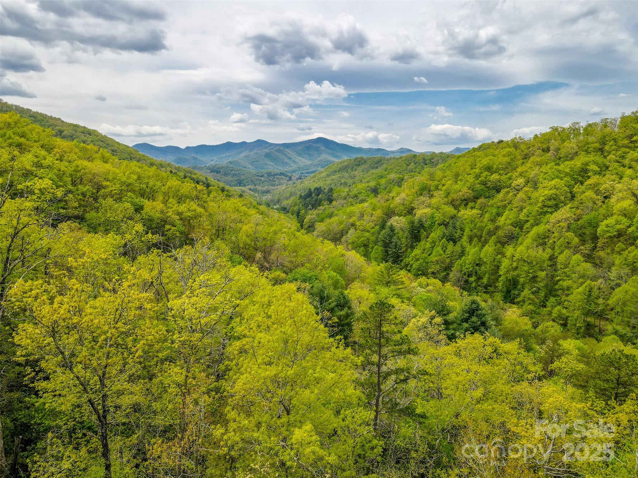 2360 Wayehutta Road Cullowhee, NC 28723 - Photo 13 of 16 a view of a bunch of trees and houses