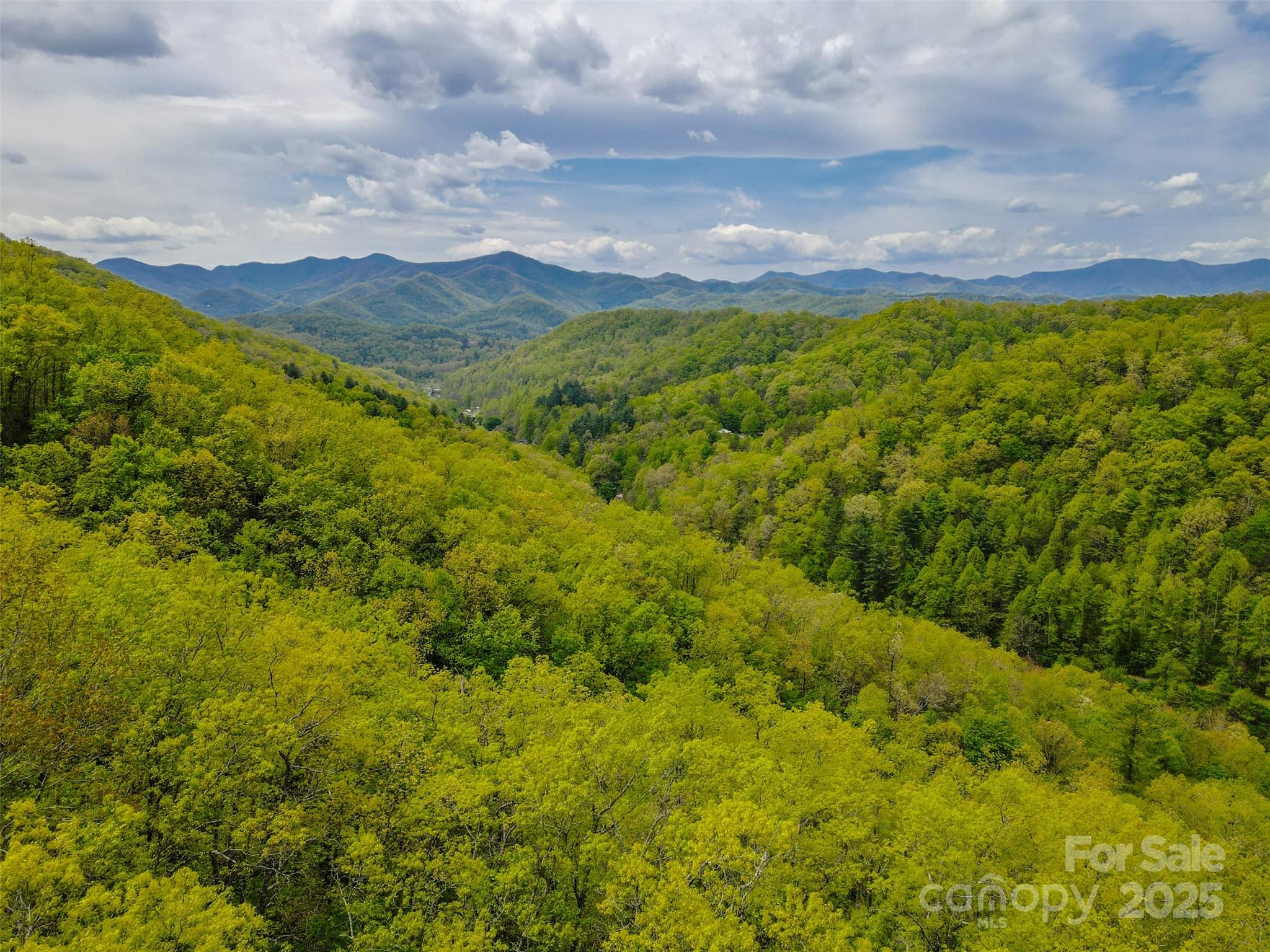 2360 Wayehutta Road Cullowhee, NC 28723 - Photo 14 of 16 a view of a city with lush green forest