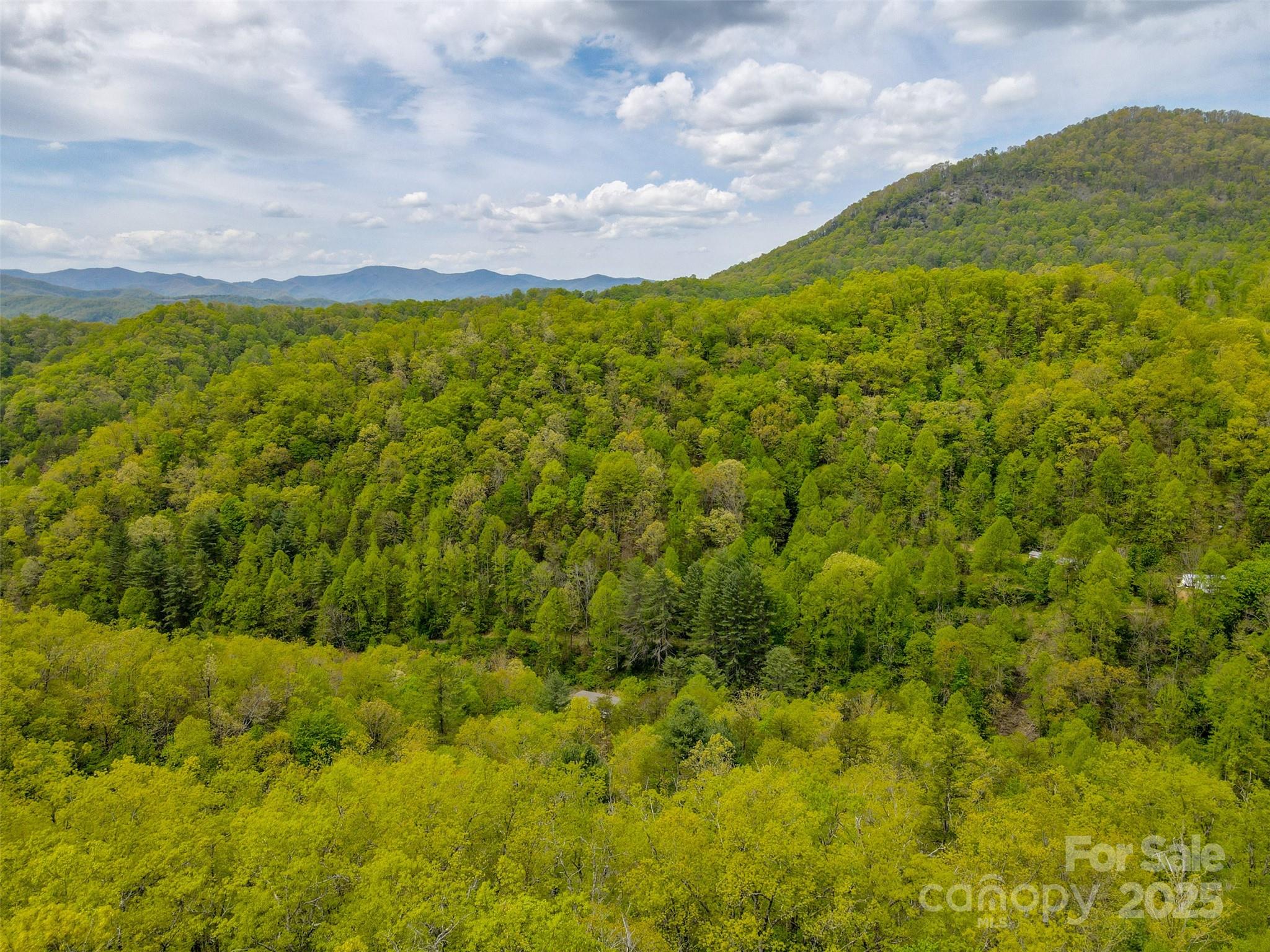 2360 Wayehutta Road Cullowhee, NC 28723 - Photo 15 of 16 a view of a green field