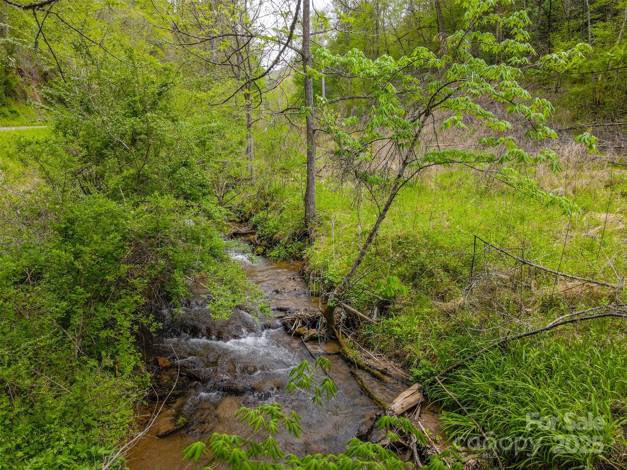 2360 Wayehutta Road Cullowhee, NC 28723 - Photo 2 of 16 a backyard of a house with lots of green space