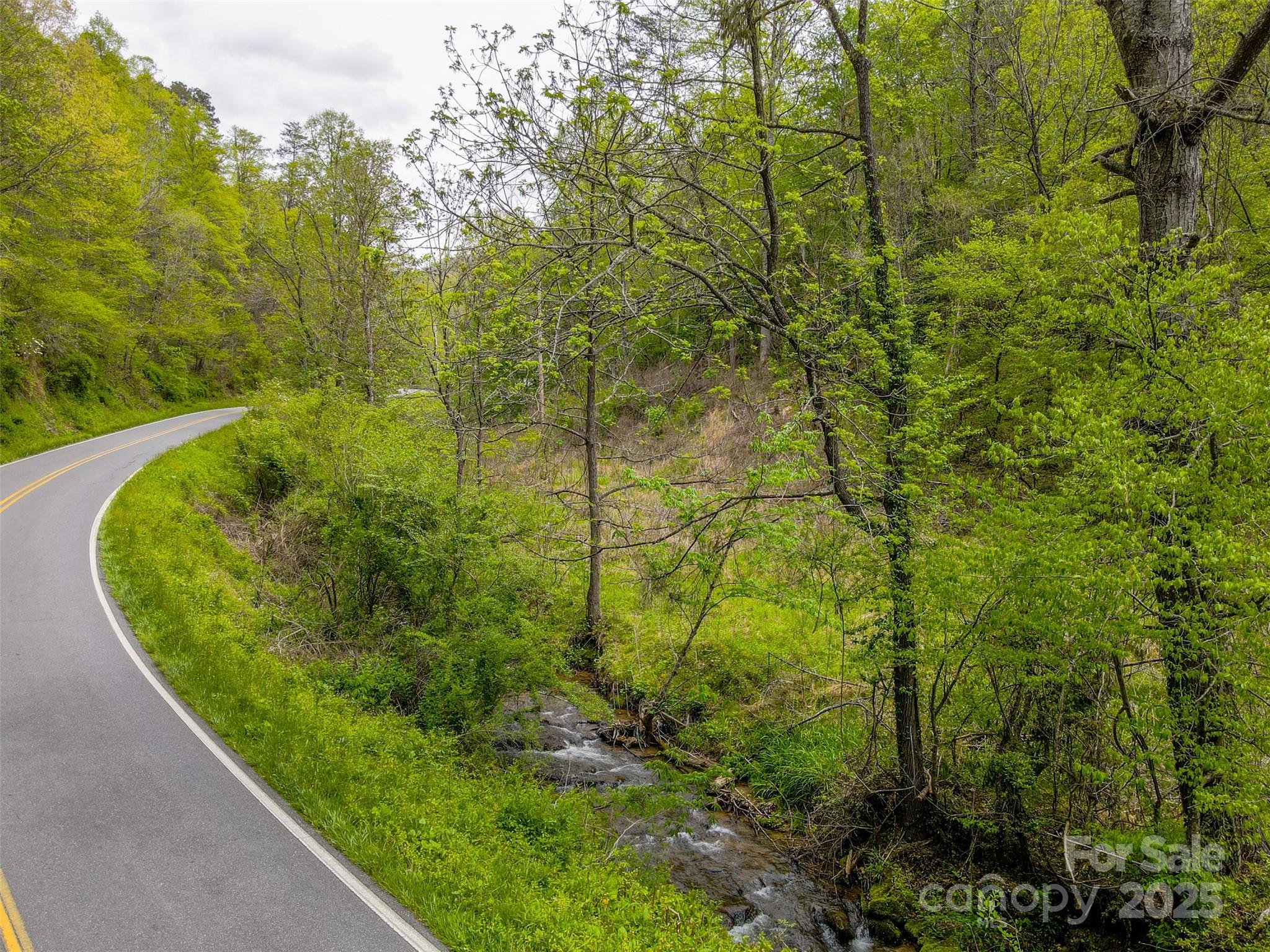 2360 Wayehutta Road Cullowhee, NC 28723 - Photo 3 of 16 a view of a garden