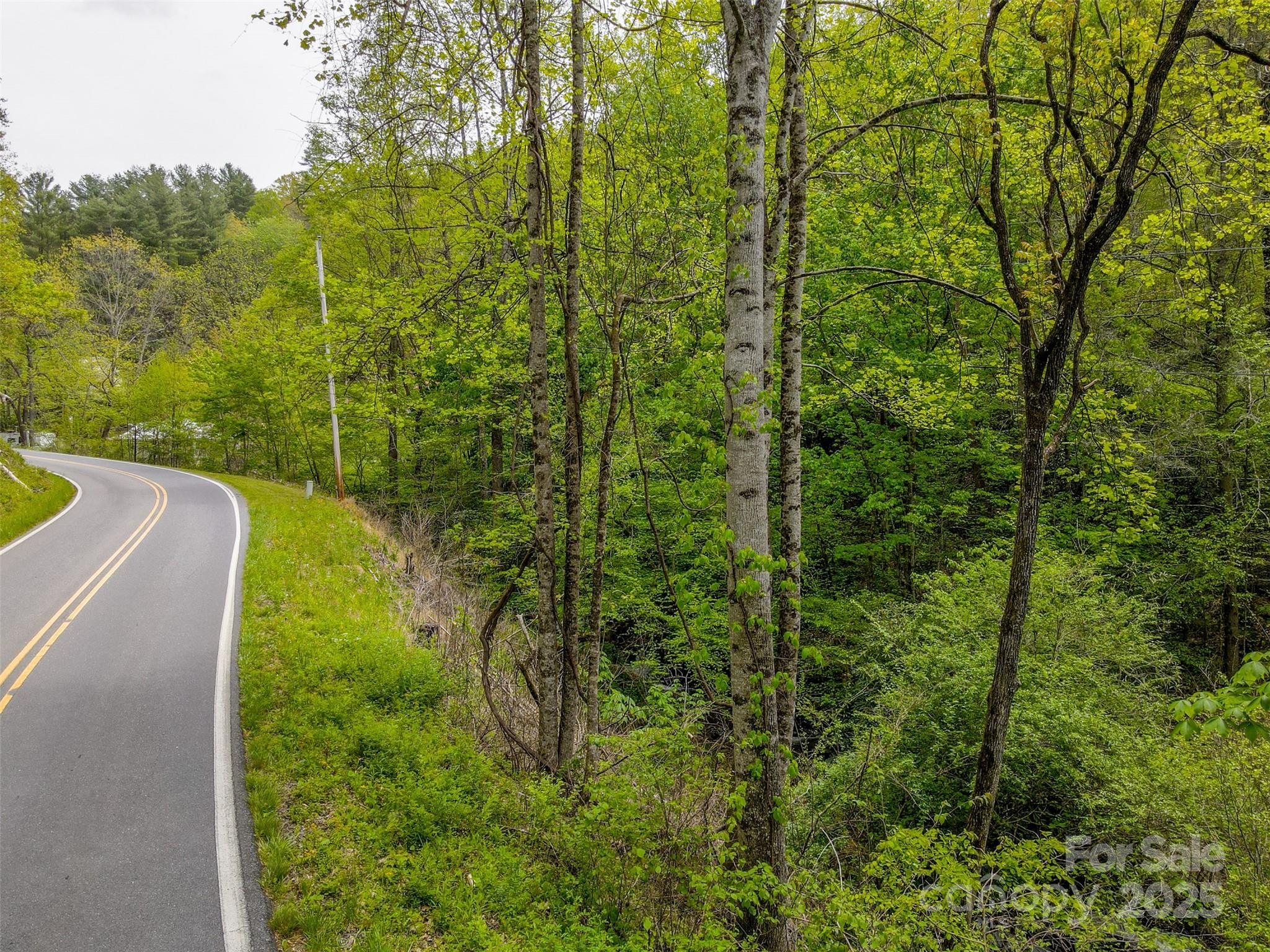2360 Wayehutta Road Cullowhee, NC 28723 - Photo 5 of 16 a view of a yard with plants