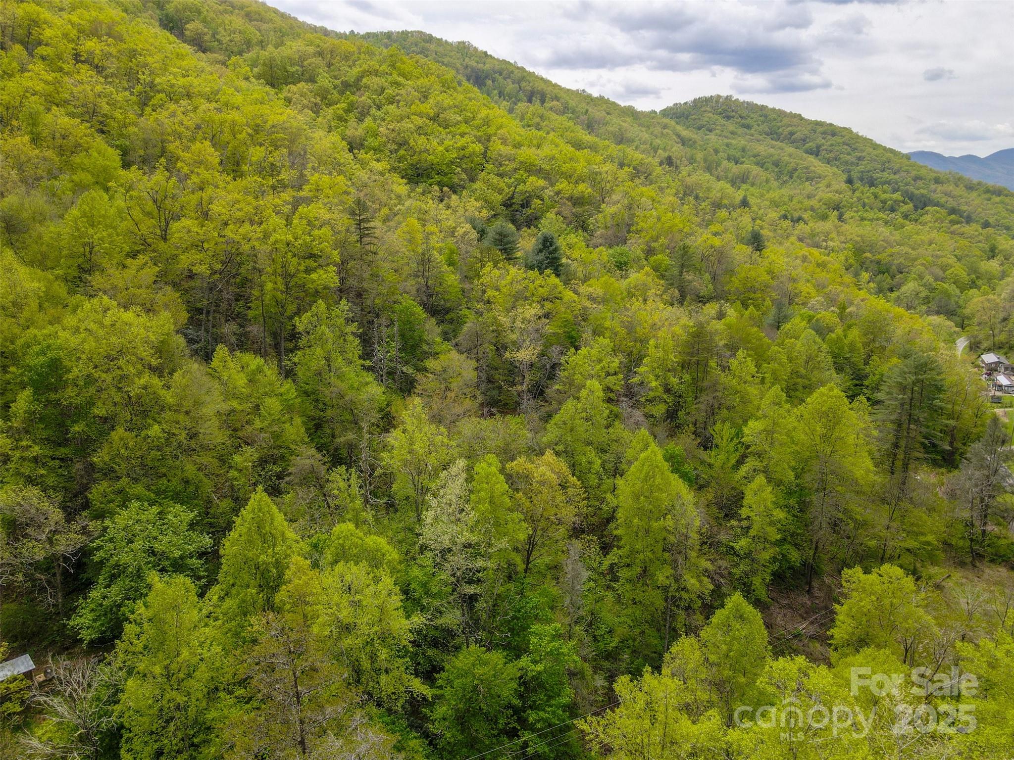 2360 Wayehutta Road Cullowhee, NC 28723 - Photo 8 of 16 a view of a mountain
