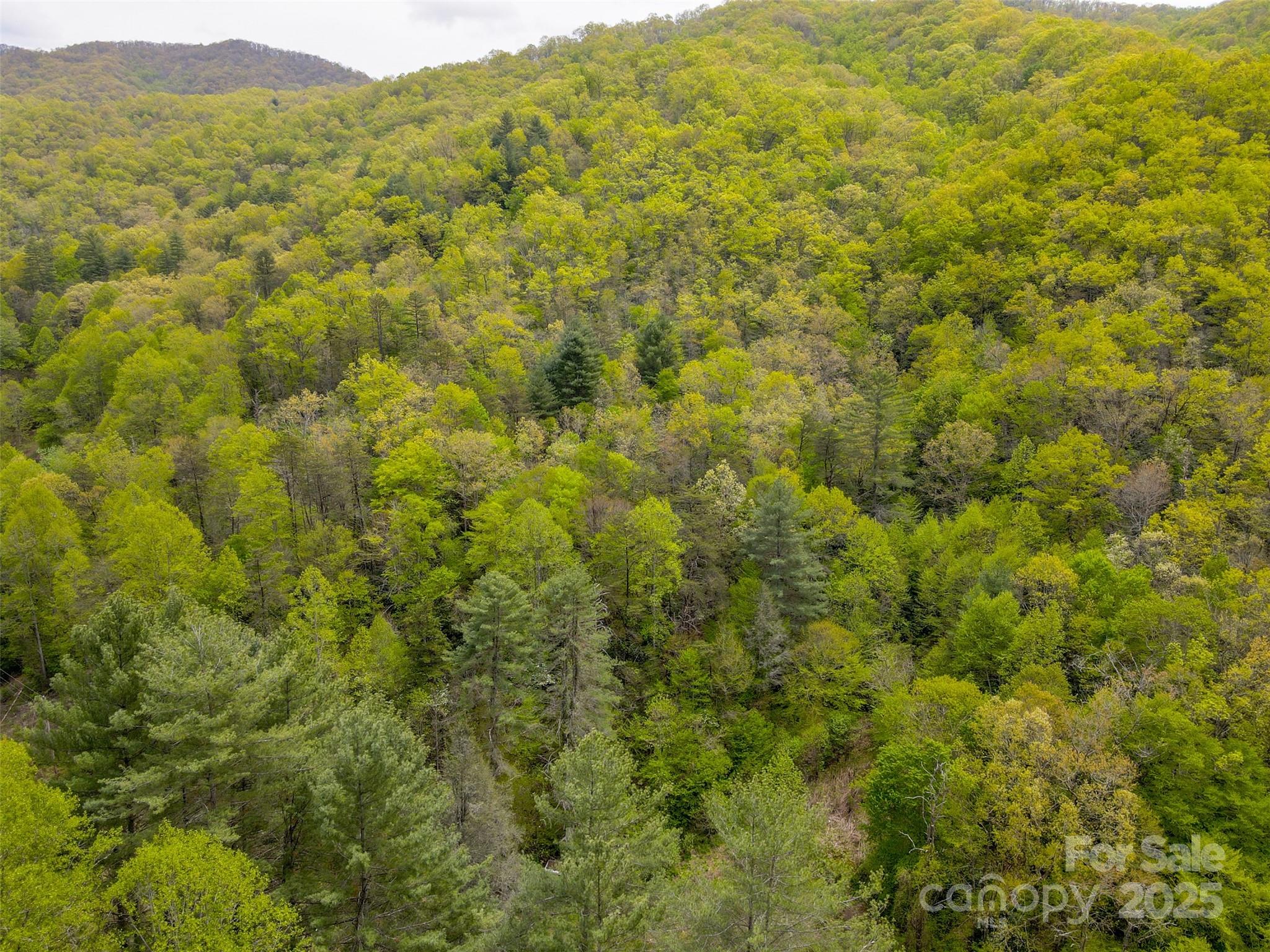 2360 Wayehutta Road Cullowhee, NC 28723 - Photo 10 of 16 a view of a big yard with green space and mountain view