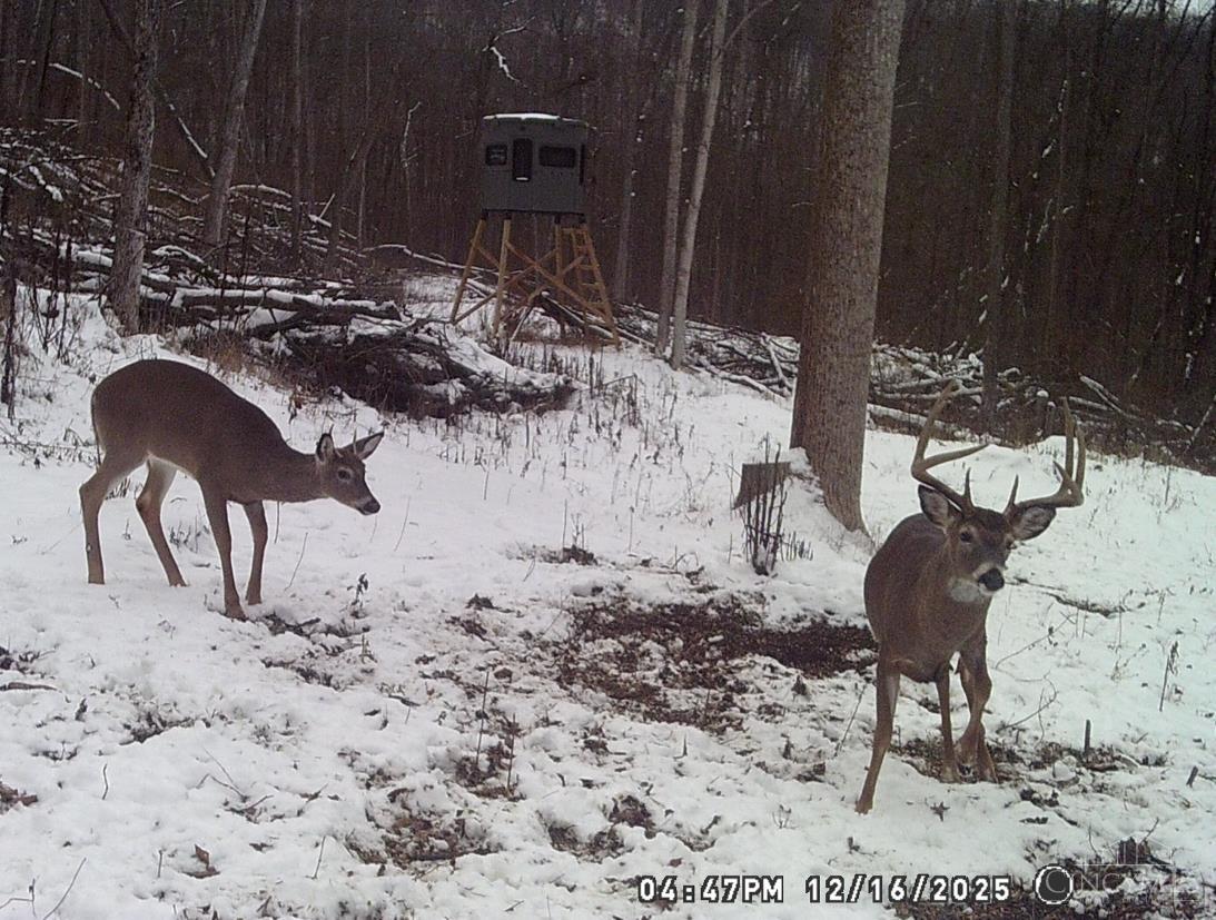 Ac Beech Fork Road Peebles, OH 45660 - Photo 42 of 49