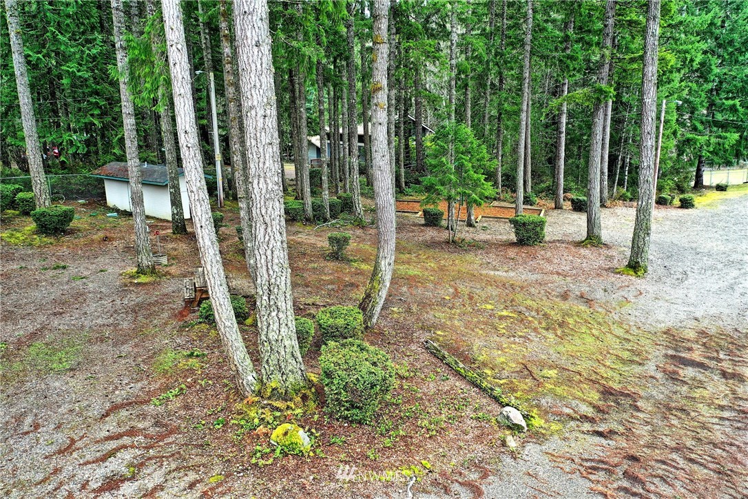 111 East Sleaford Road Shelton, WA 98584 - Photo 29 of 32 a view of a backyard with plants and patio