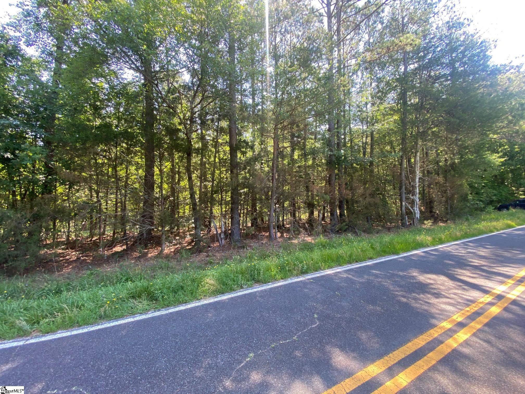0 Mountville Road Mountville, SC 29370 - Photo 1 of 4 Gallery Image 1