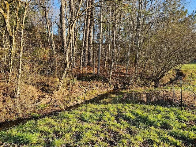 $39,000 | Lot 21 Broadleaf Lane, Murphy, NC 28906